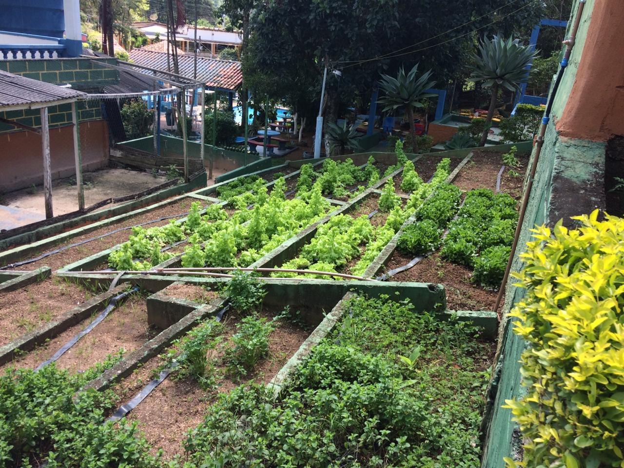 Unidade 3 — Foto 2