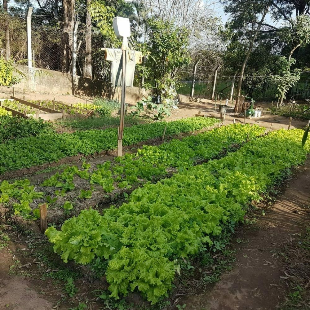 Unidade 4 — Foto 3