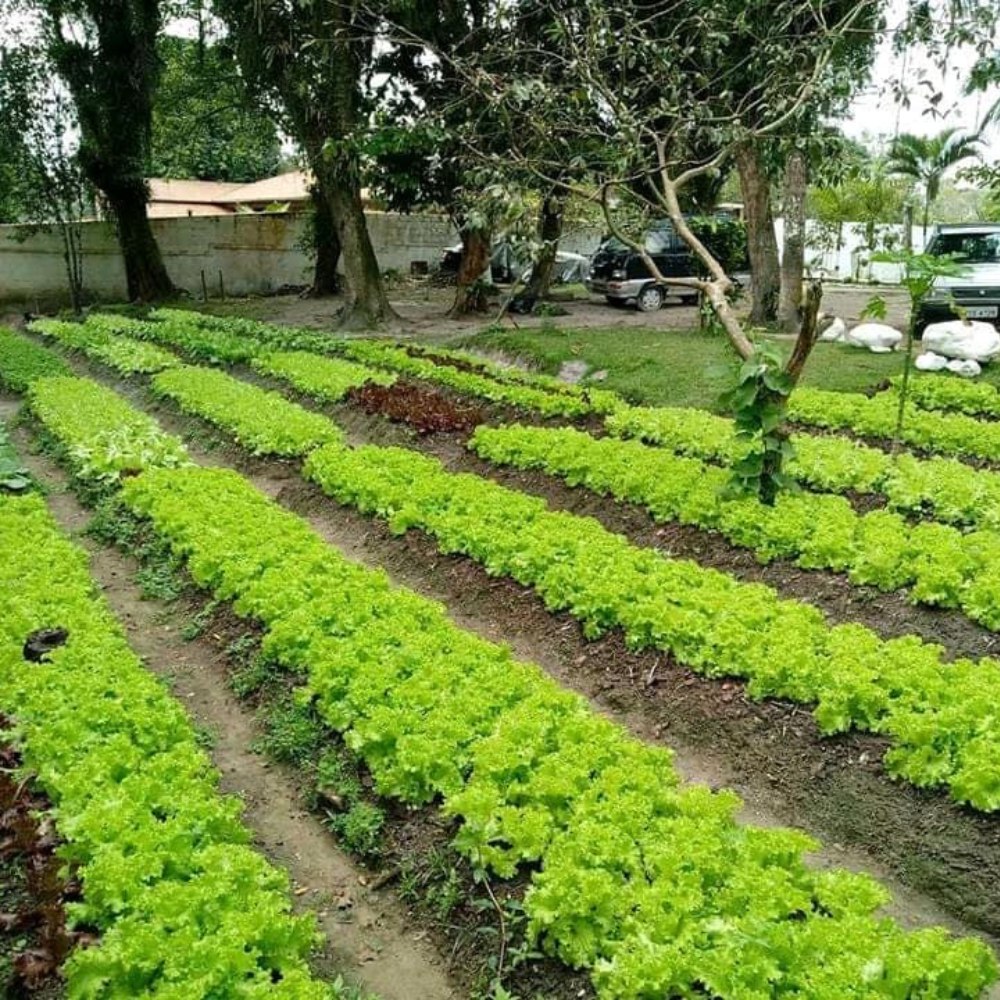 Unidade 5 — Foto 2